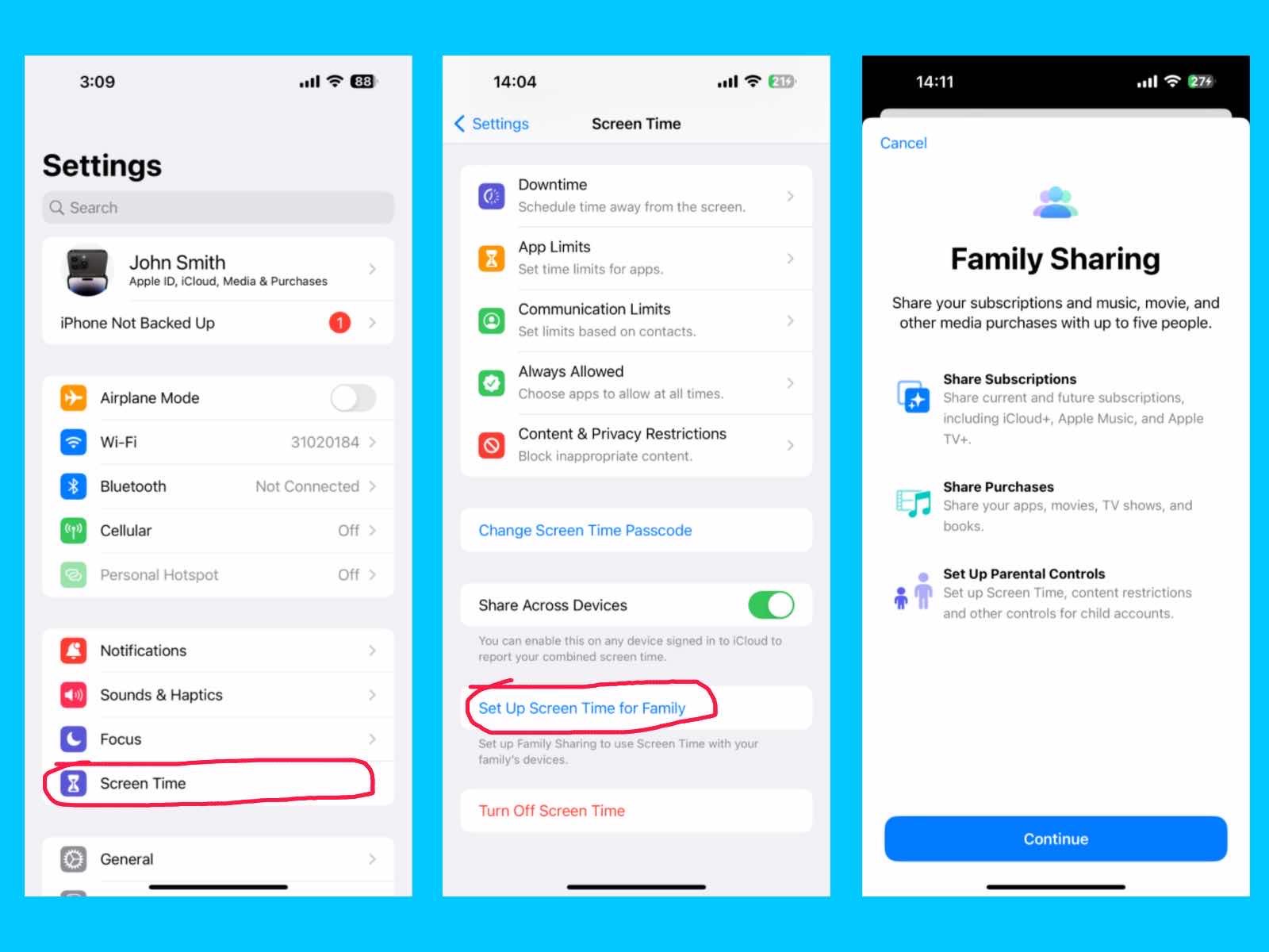 iPhone 14 Pro Max Settings Guide