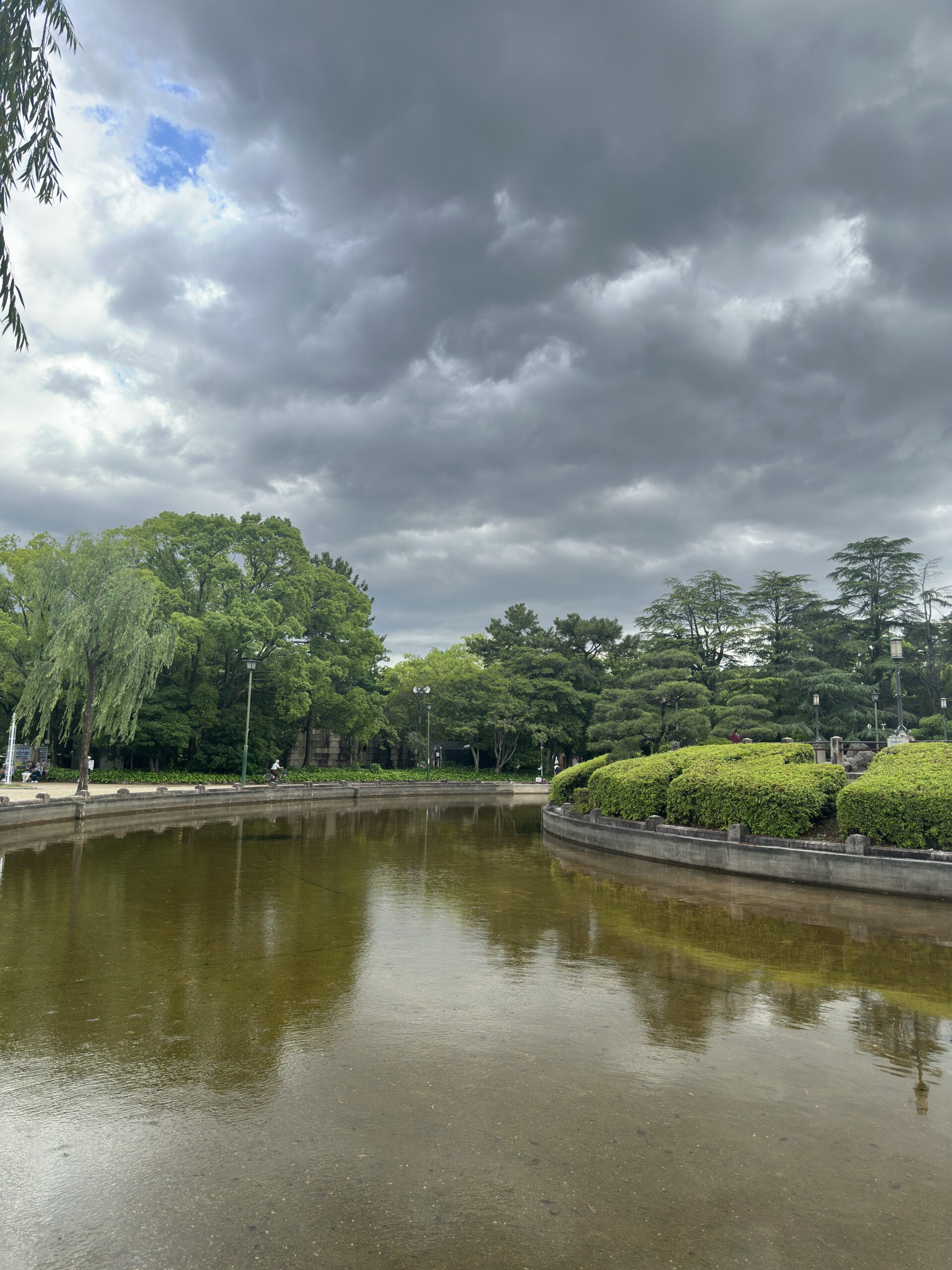 A quiet pond in the park captured in daylight with the iPhone 14 Pro Max 48MP camera