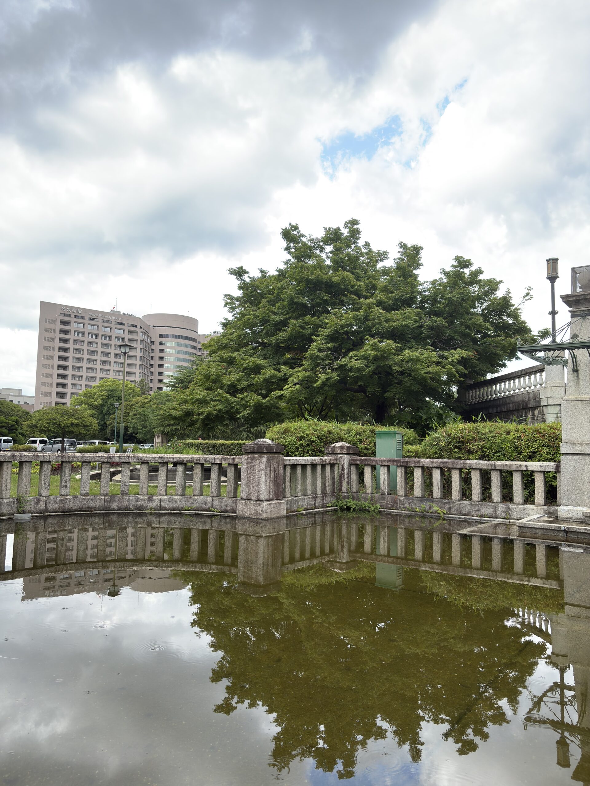A pond with a park and buildings captured in daylight with the iPhone 16 48MP camera