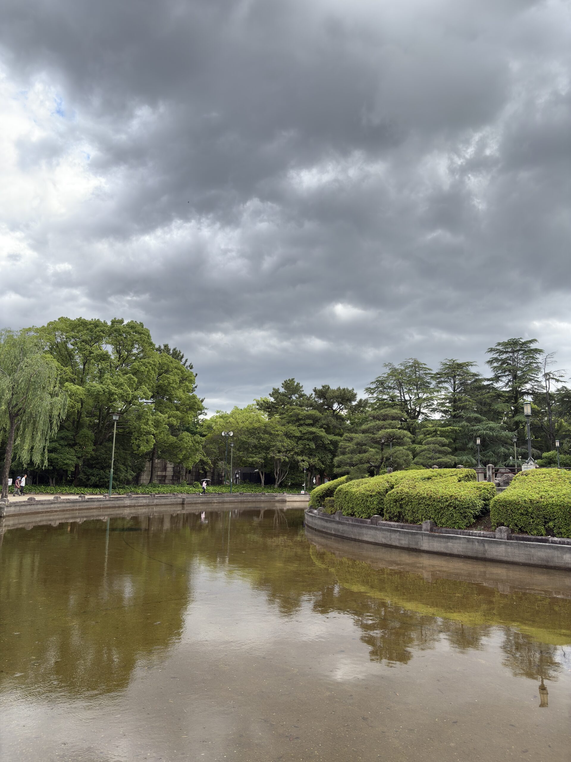 A quiet pond in the park captured in daylight with the iPhone 16 48MP camera