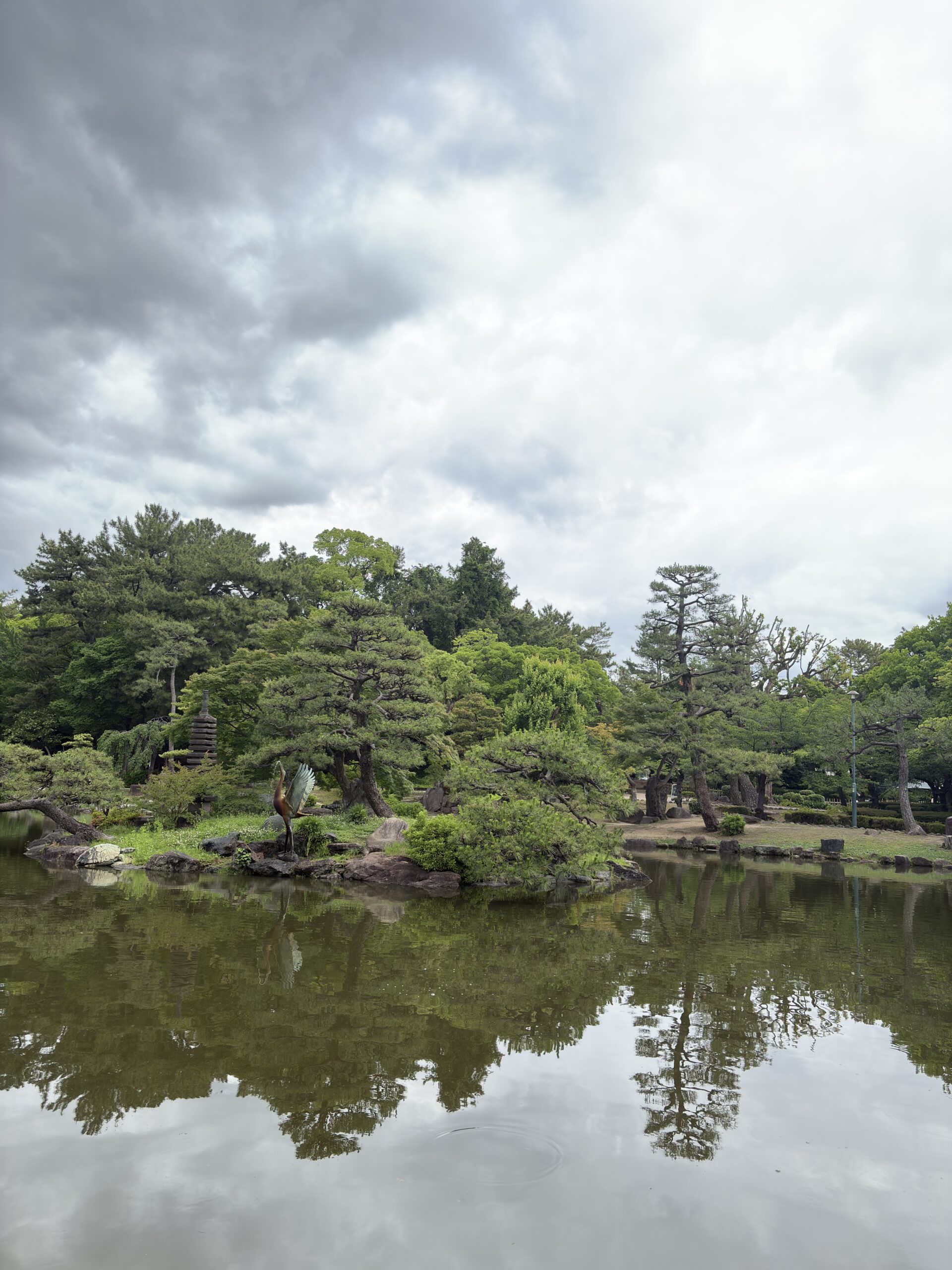 A beautiful pond in the park captured in daylight with the iPhone 16 48MP camera