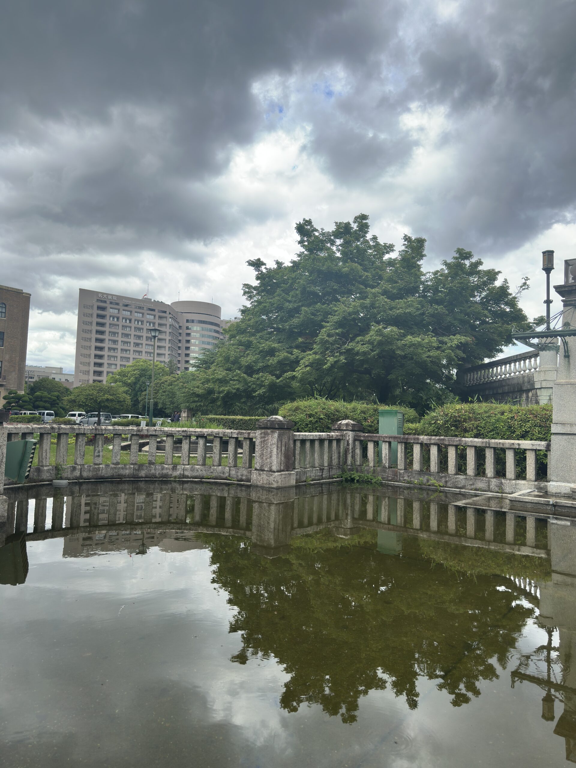 A pond with a park and buildings captured in daylight with the iPhone 14 Pro Max 48MP camera